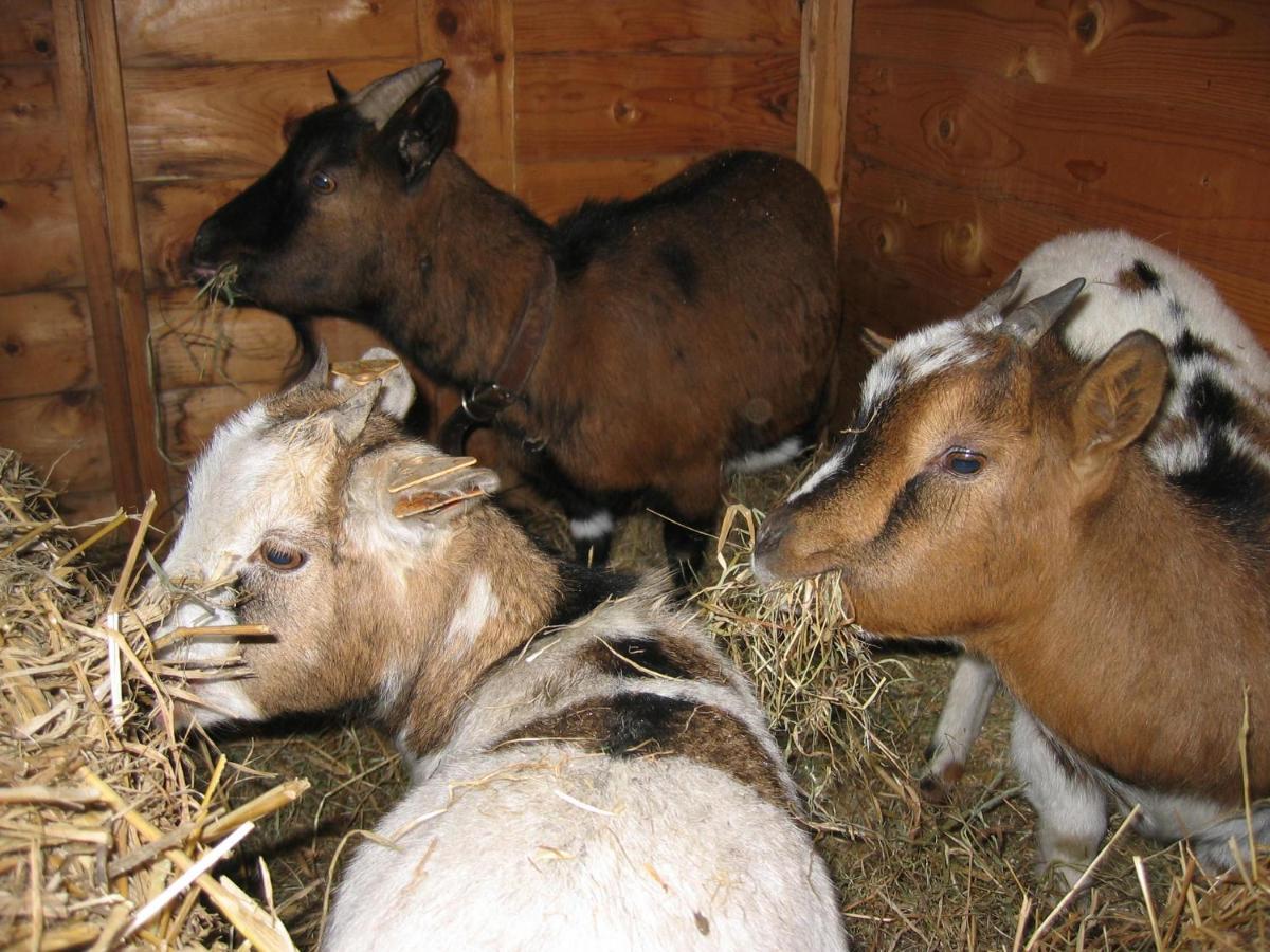 Bed and Breakfast Comme A La Ferme Durbuy Exterior foto
